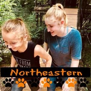 Meet your Posher, Bambi